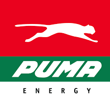puma puma